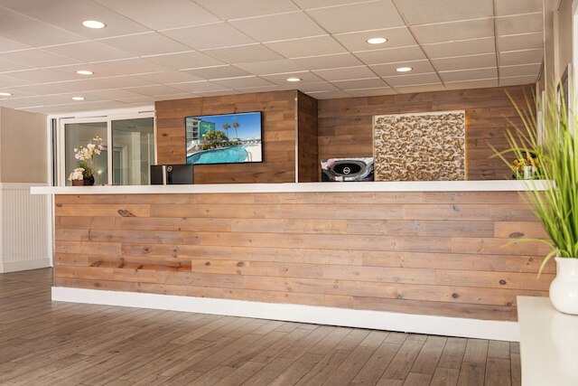 パーム ツリー クラブ マイアミ オテル