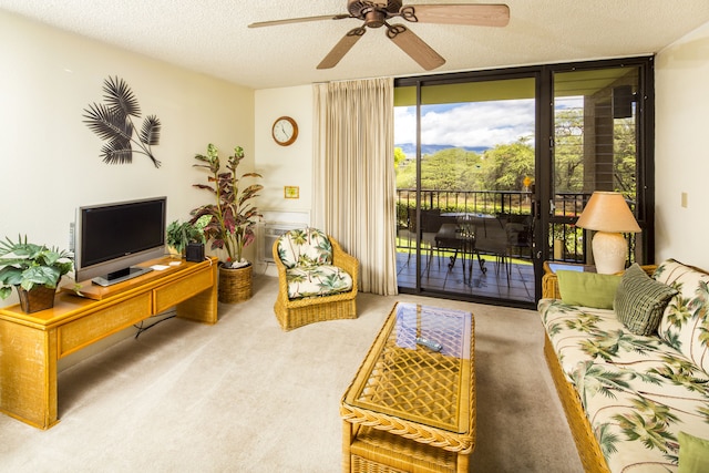 キャッスル カマオレ サンズ