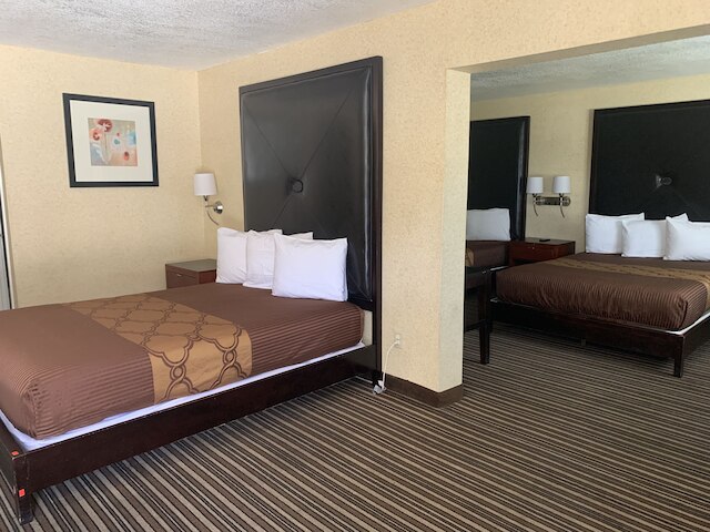 ブエナ パーク イン