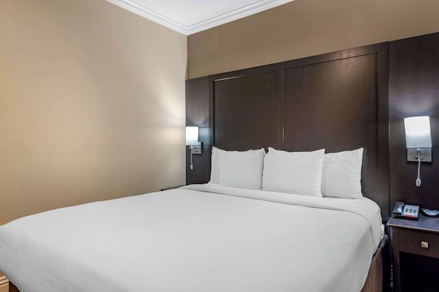 コンフォート イン & スイーツ ハンティントン ビーチ