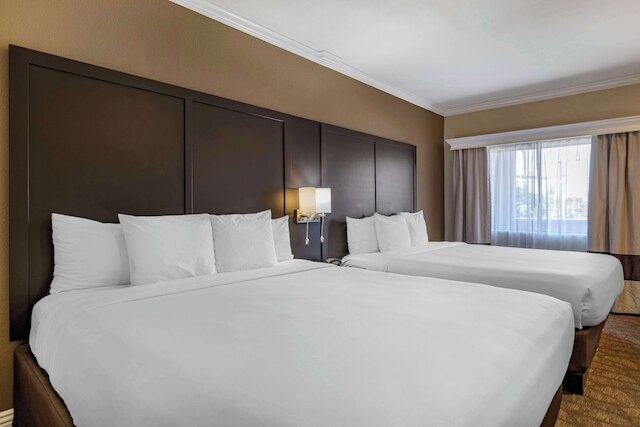 コンフォート イン & スイーツ ハンティントン ビーチ