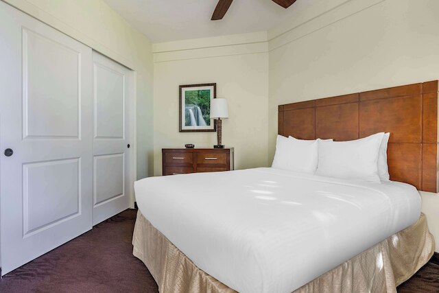 ヒルトン バケーション クラブ ザ ポイント アット ポイプ カウアイ