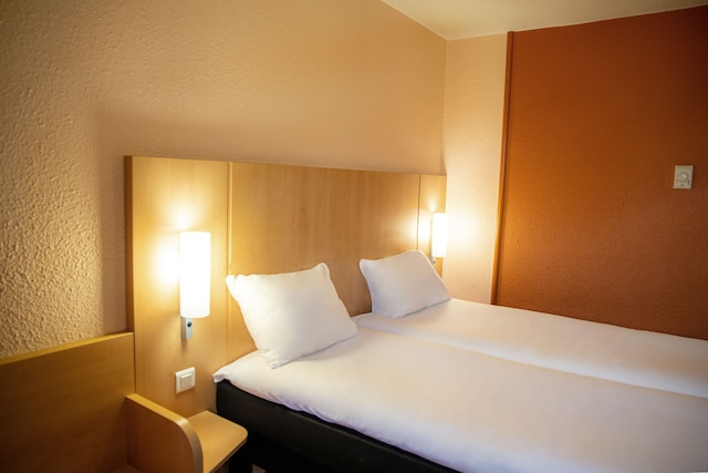 イビス パリ ポルト ドルレアン