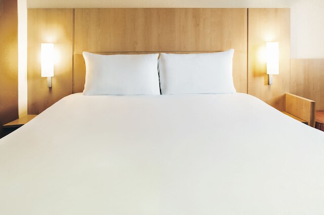 イビス リール サントル ガール