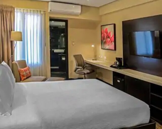 ヒルトン ガーデン イン グアテマラ シティ