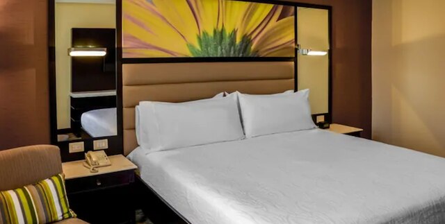 ヒルトン ガーデン イン グアテマラ シティ