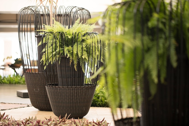 ワイコロア ビーチ マリオット リゾート & スパ