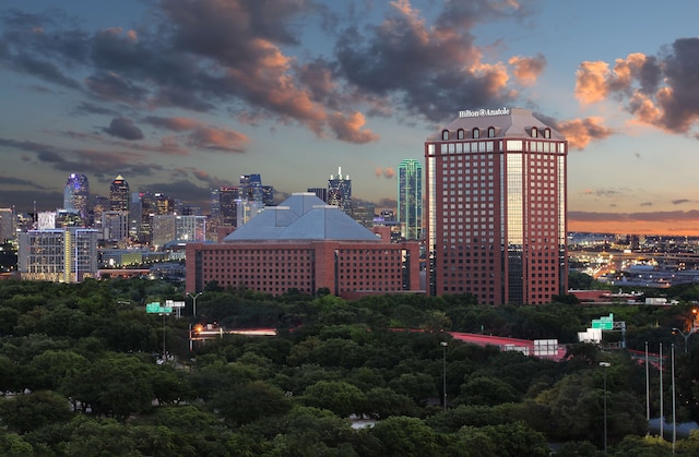 ヒルトン アナトール