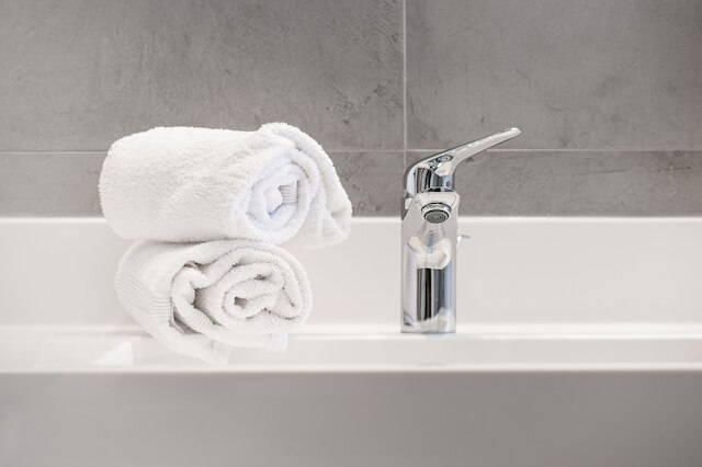 メルキュール ブール アン ブレス