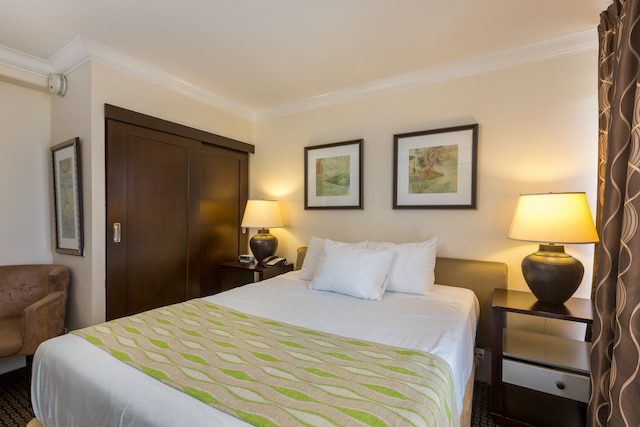 レジェンシーオンビーチウォークワイキキバイアウトリガー