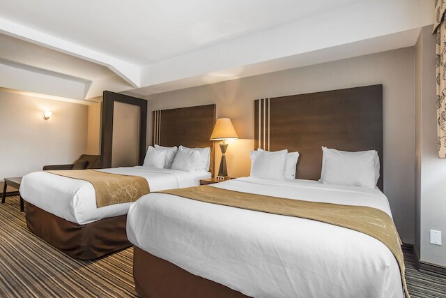 コンフォート スイーツ ダウンタウン