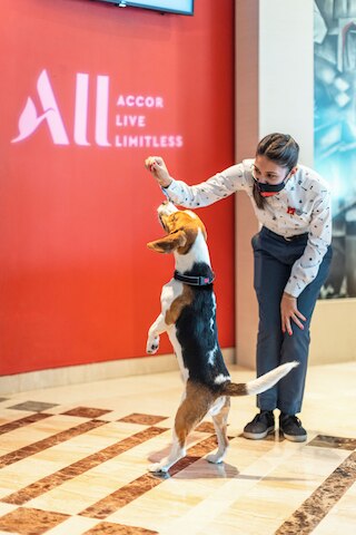 アイビス モンペリエ サントル コメディ