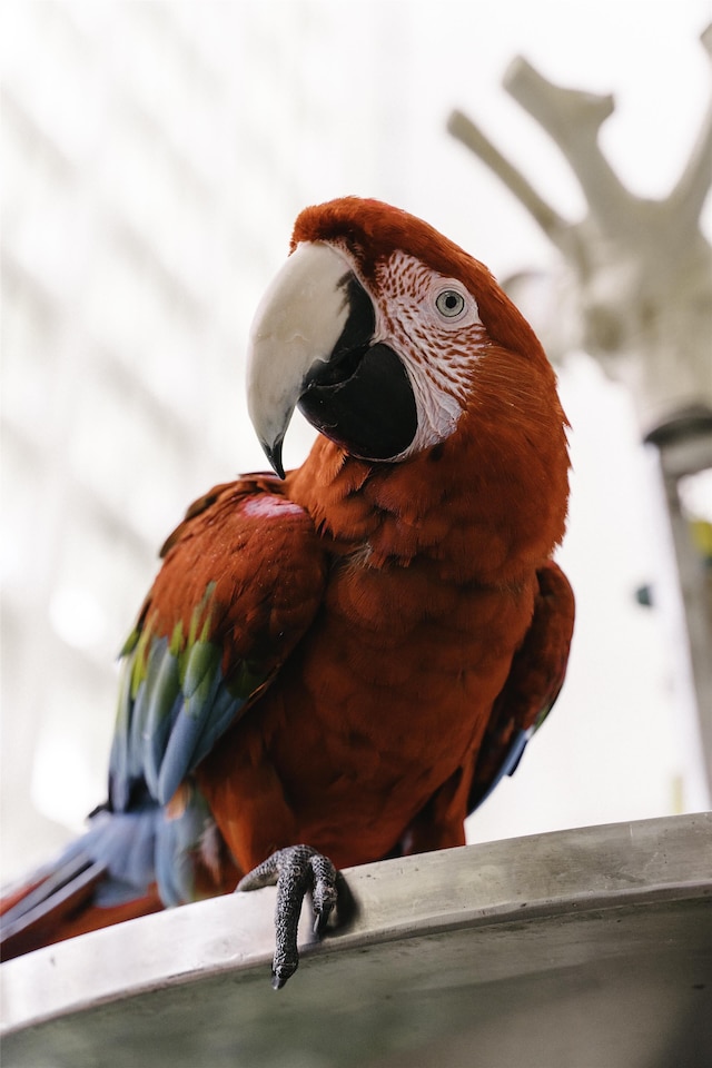 ハイアット リージェンシー グランド サイプレス