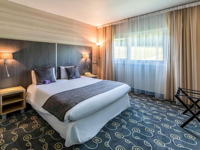 メルキュール アヌシー シュッド