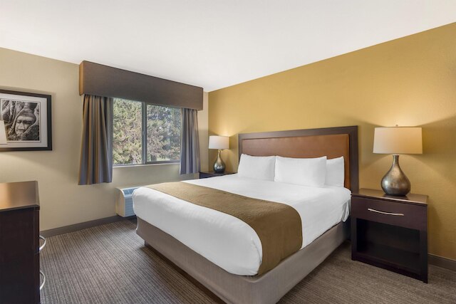 ベスト ウエスタン プラス プラザ バイ ザ グリーン