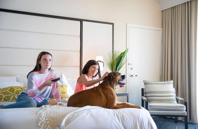 サン ディエゴ ミッション ベイ リゾート