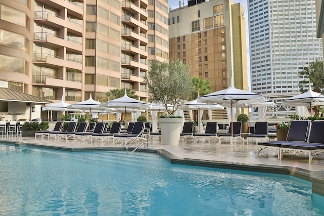 ザ ウィンザー コート