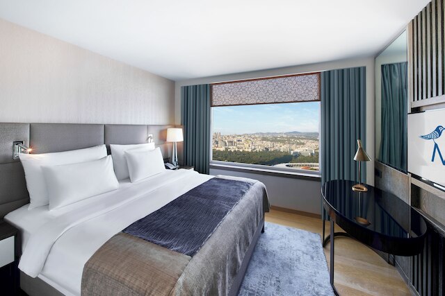 ザ マルマラ タクシム