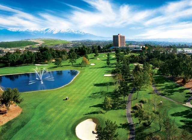 パシフィック パームズ リゾート