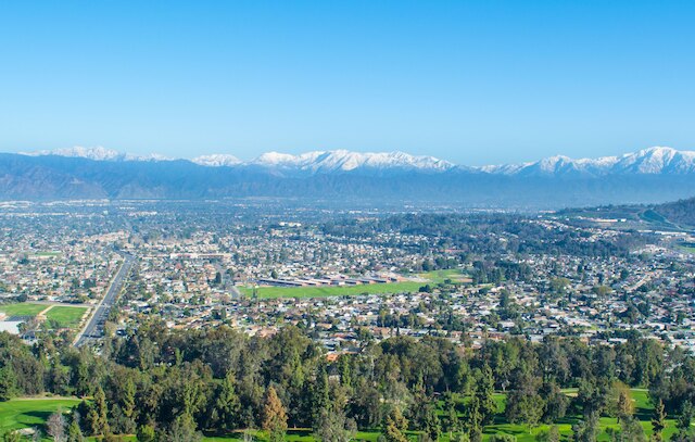 パシフィック パームズ リゾート