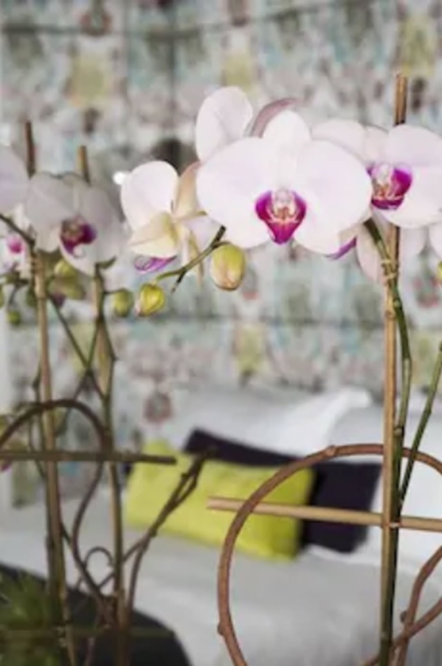 ドリーム ミッドタウン、バイ ハイアット