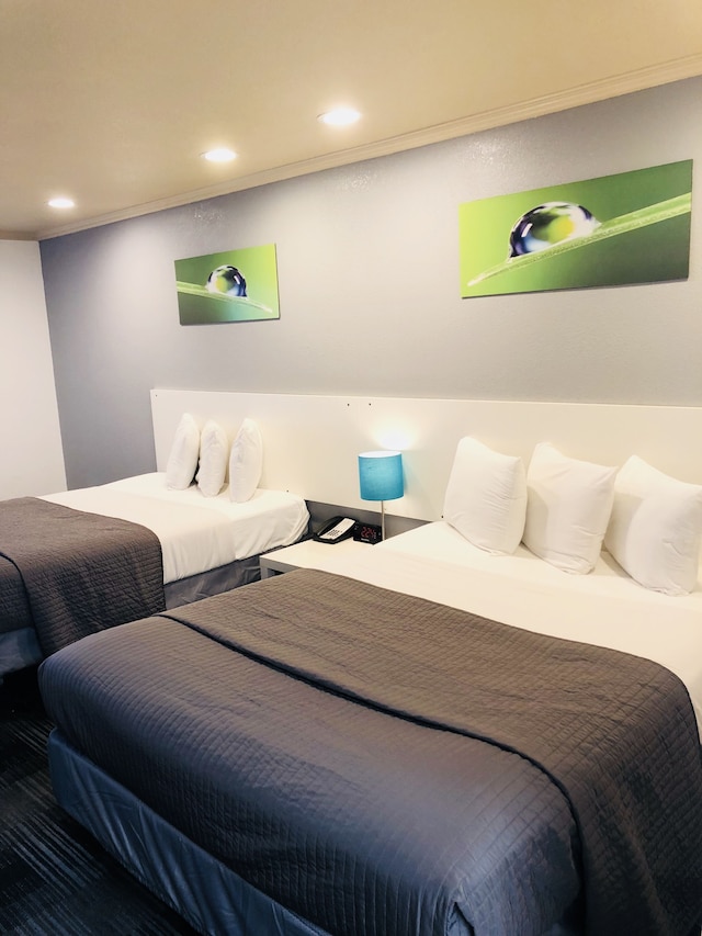 ブリッジポイント イン ダーリー シティ