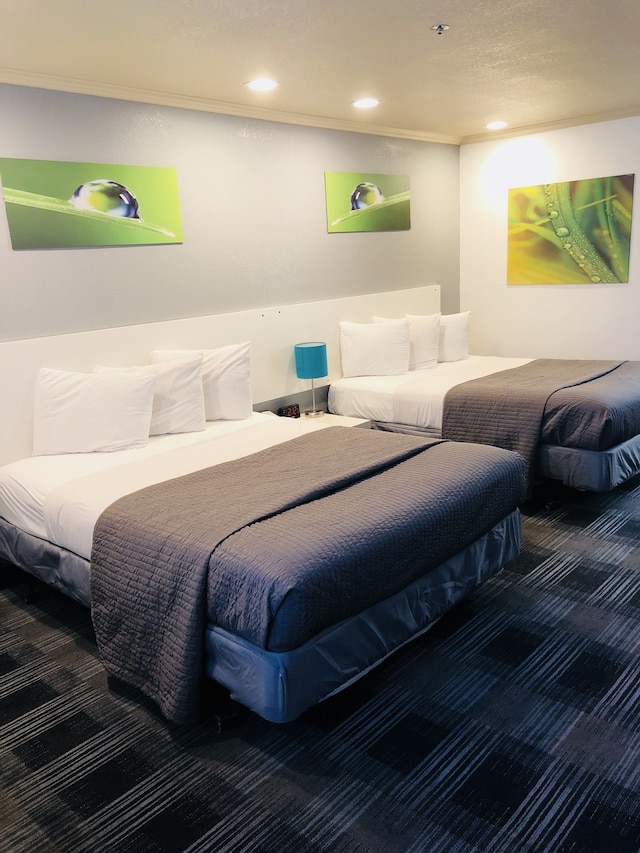 ブリッジポイント イン ダーリー シティ