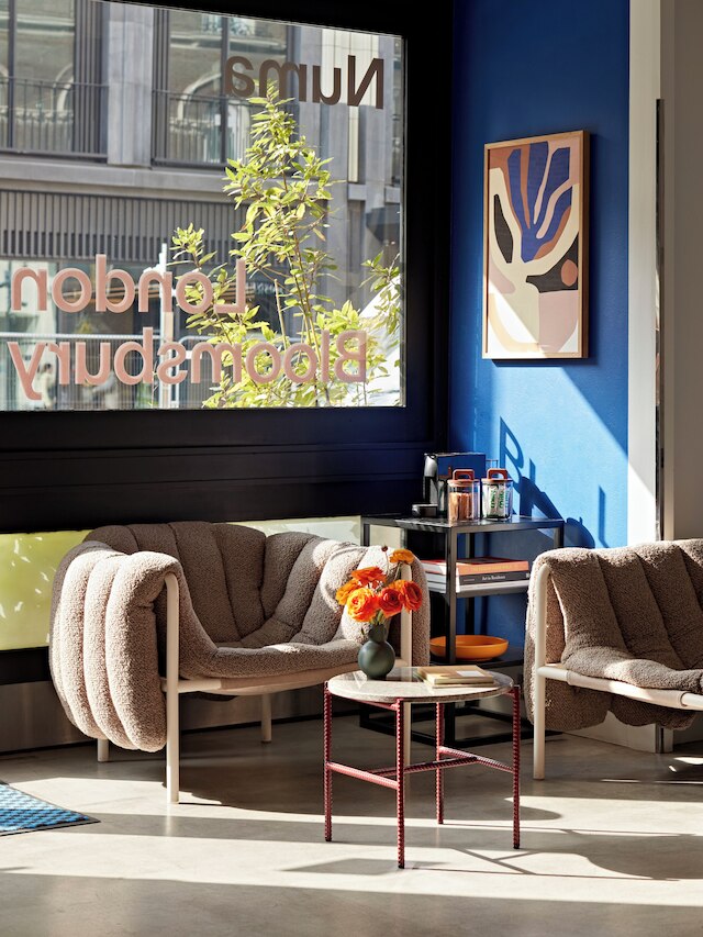 ヌマロンドンブルームズベリー