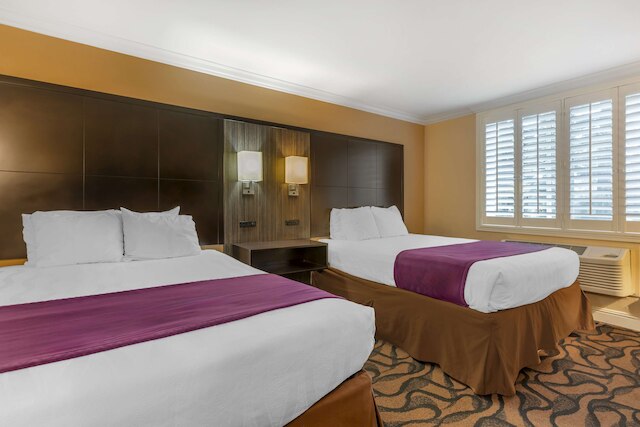 ベスト ウエスタン プラス エアポート プラザ