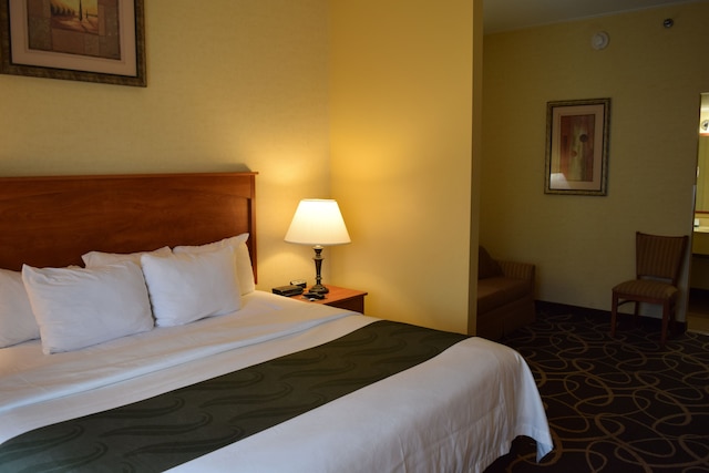 クオリティ ホテル & スイーツ アット ザ フォールズ