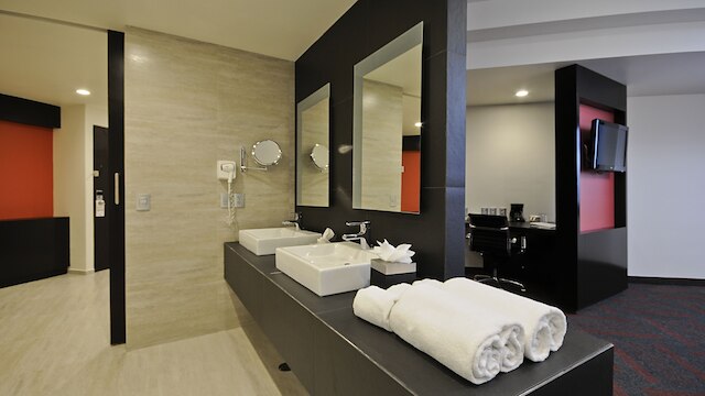 ホリデイ イン メキシコ ダリ エアポート by IHG