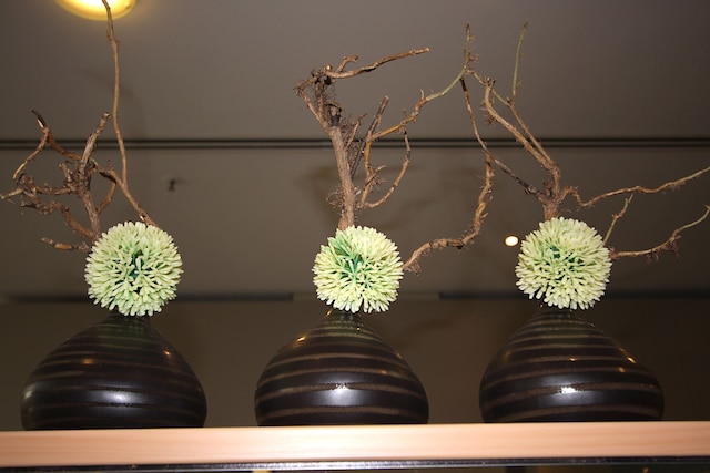 イビスドレスデンバスタイ