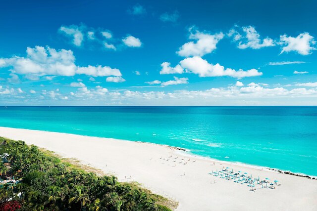 ザ マイアミ ビーチ エディション