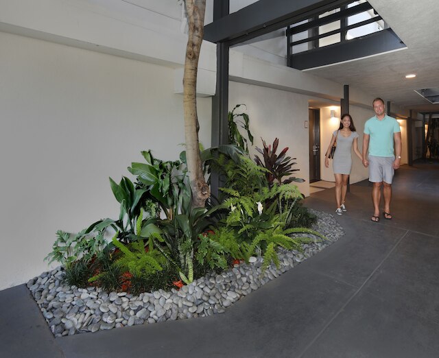 アナハイム ホテル