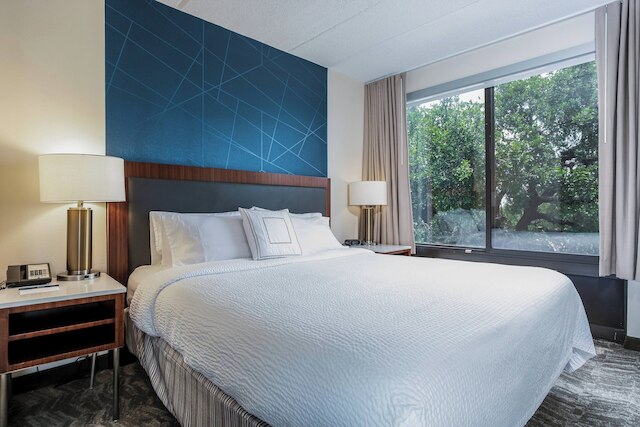 スプリングヒル スイーツ バイ マリオット オースティン ザ ドメイン エリア