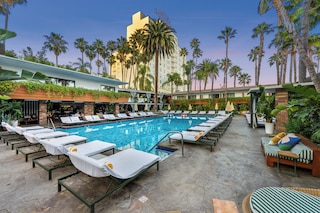 ザ ハリウッド ルーズベルト