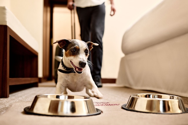 シェラトン ザグレブ ホテル