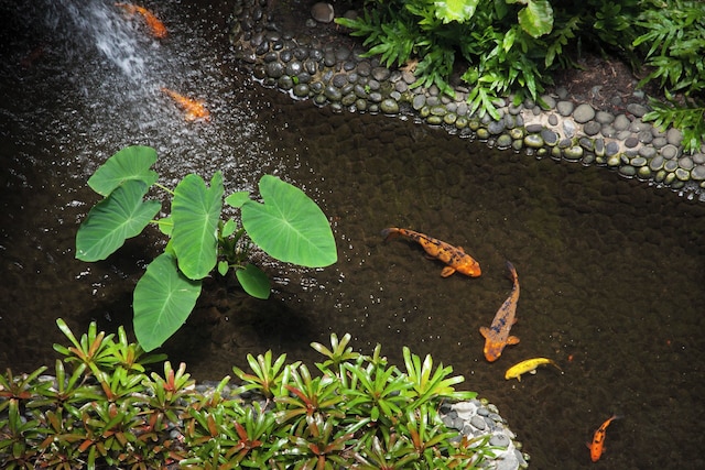 マウナケア ビーチ ホテル オートグラフ コレクション