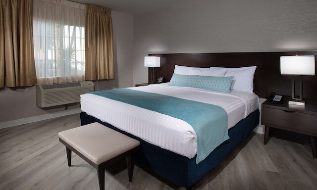 サファリ イン、ア コースト ホテル