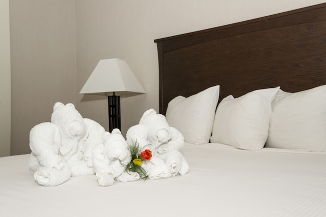 クオリティ イン & スイーツ イエローナイフ