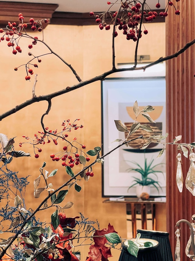 メゾン アスター パリ キュリオ コレクション バイ ヒルトン