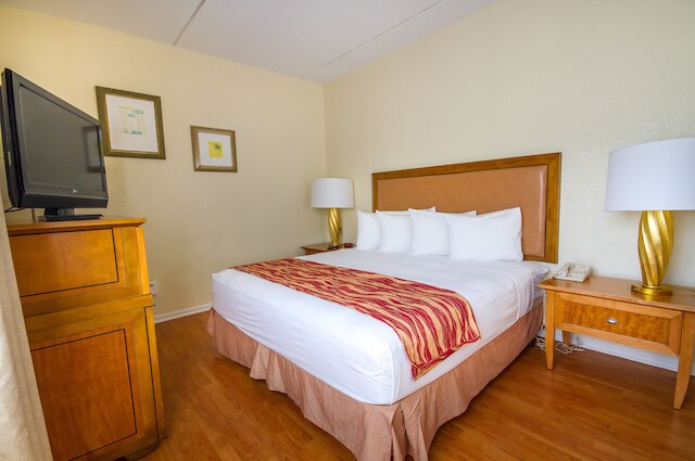 ロードウェイ イン サウス マイアミ コーラル ゲーブルズ