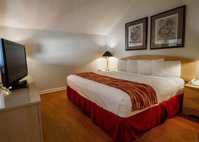 ロードウェイ イン サウス マイアミ コーラル ゲーブルズ