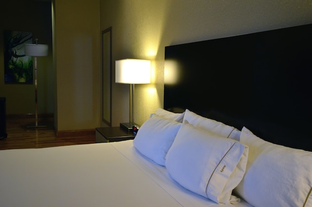 ホリデイ イン エクスプレス クリーブランド ダウンタウン by IHG