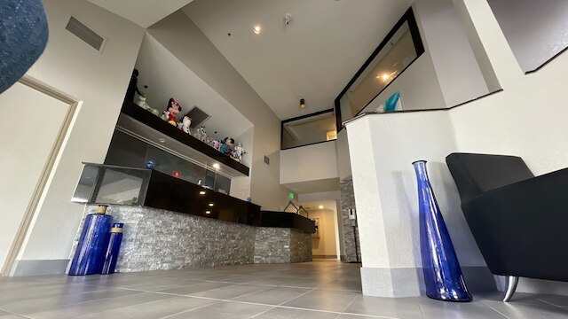 デスティニー パームス ホテル メインゲート ウエスト