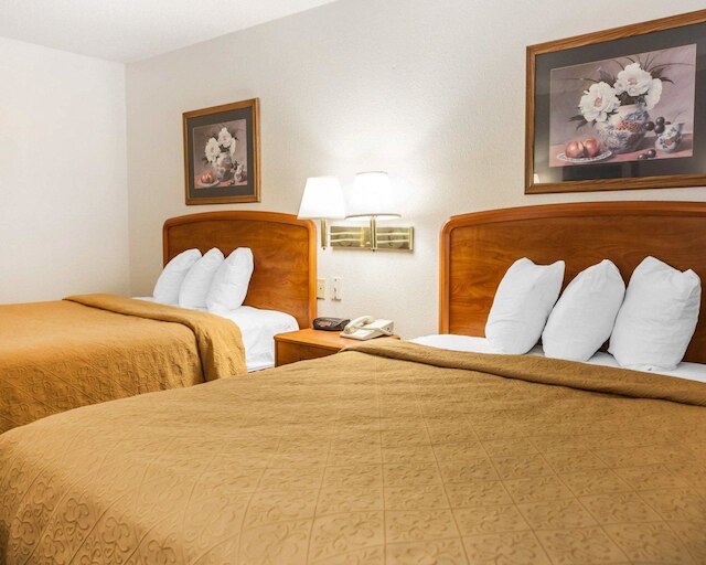 クオリティ イン サウス