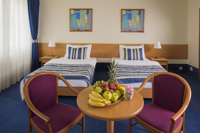 トップ ホテル プラハ & カンファレンス センター