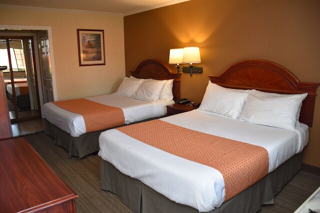 ダイナスティ スイーツ レッドランズ