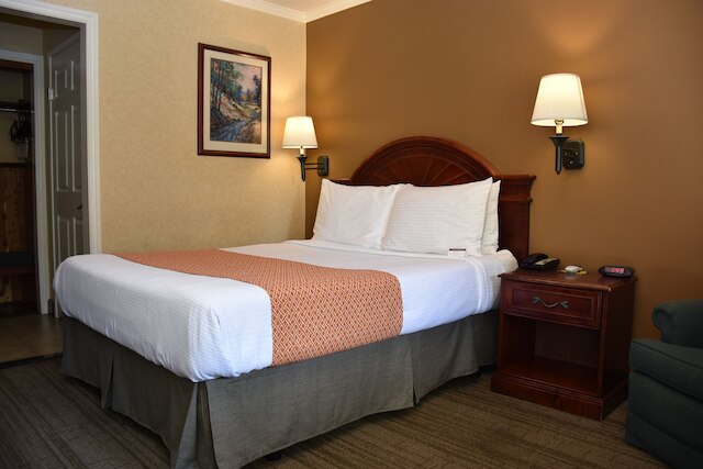 ダイナスティ スイーツ レッドランズ