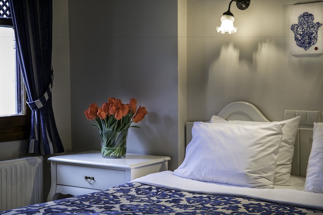 ホテル サリ コナック